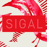 Gift Card - shopsigal